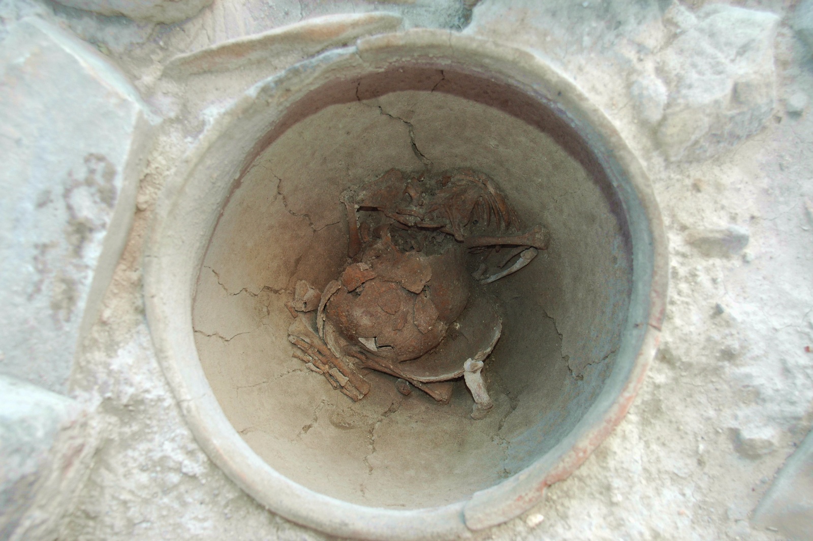 7 ExcavaciÃ³n (Tumba infantil II Milenio BC) 2008